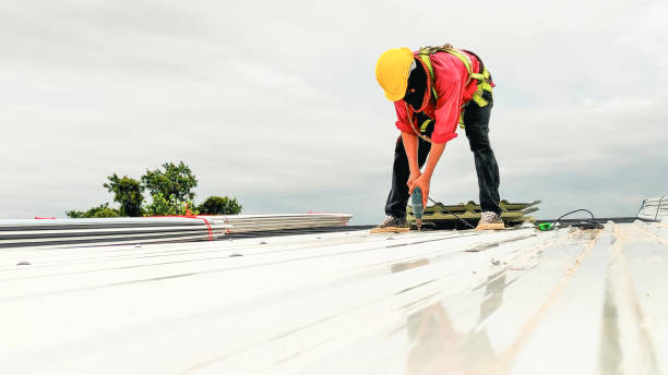 Best Solar Panel Roofing Installation  in Upper Ack, NY