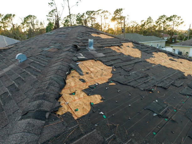 Best Roof Insulation Installation  in Upper Ack, NY
